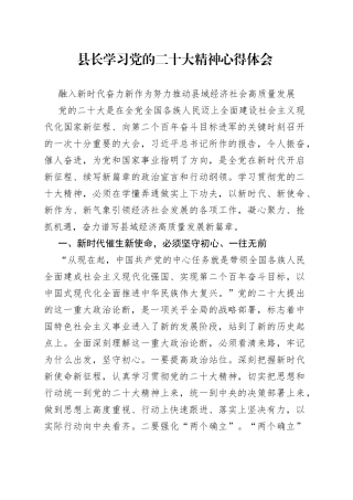 县长学习党的二十大精神心得体会