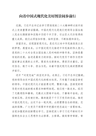 向着中国式现代化美好图景阔步前行