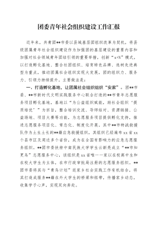 团委青年社会组织建设工作汇报