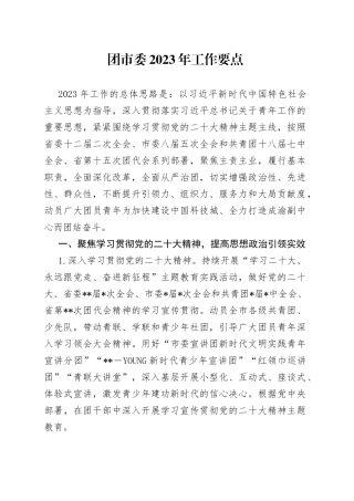 团市委2023年工作要点
