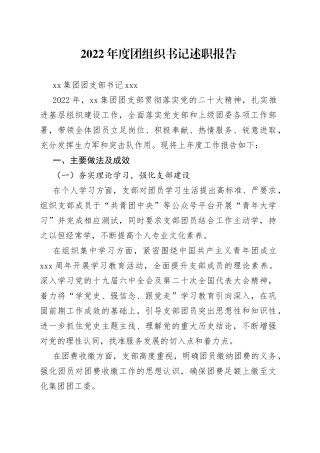 团支部书记述职报告