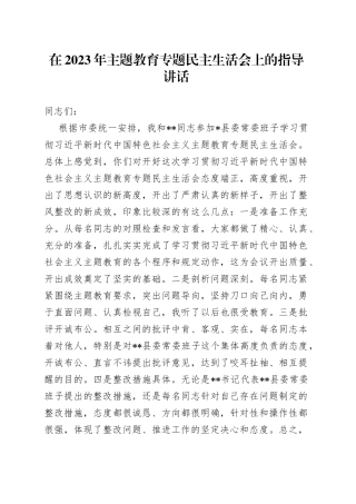 在2023年主题教育专题民主生活会上的指导讲话