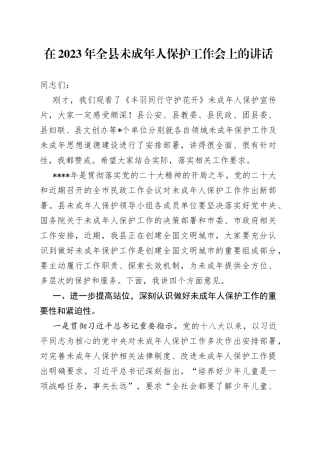 在2023年全县未成年人保护工作会上的讲话