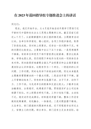 在2023年巡回指导组专题推进会上的讲话