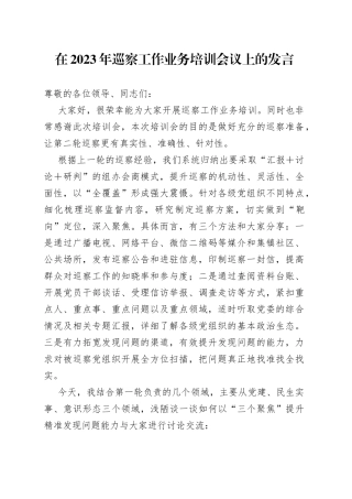 在2023年巡察工作业务培训会议上的发言