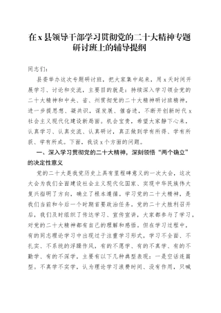 在X县领导干部学习贯彻党的二十大精神专题研讨班上的辅导提纲