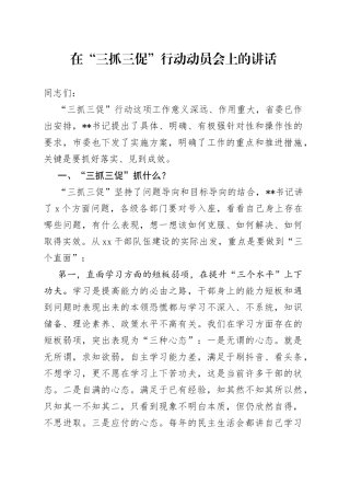 在“三抓三促”行动动员会上的讲话