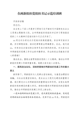 在两新组织党组织书记示范培训班开班讲话稿