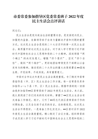 市委常委参加指导区党委常委班子2022年度民主生活会点评讲话