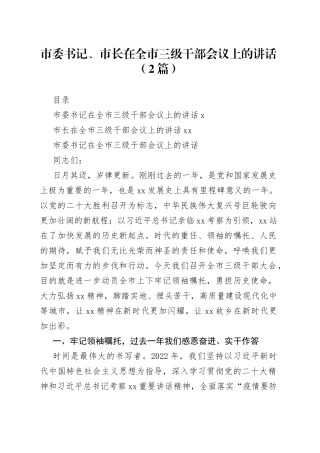市委书记、市长在全市三级干部会议上的讲话（2篇）