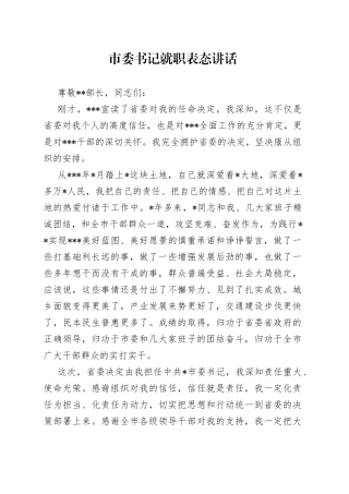 市委书记就职表态讲话