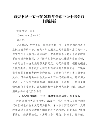 市委书记王宝玉在2023年全市三级干部会议上的讲话