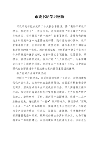 市委书记学习感悟
