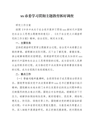 市委学习贯彻主题教育抓好调查研究工作方案