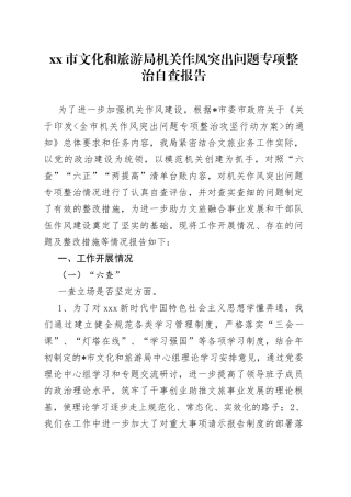 市文化和旅游局机关作风突出问题专项整治自查报告