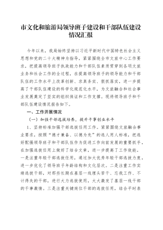 市文化和旅游局领导班子建设和干部队伍建设情况汇报