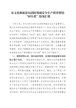 市文化和旅游局消防领域安全生产排查整治“回头看”情况汇报