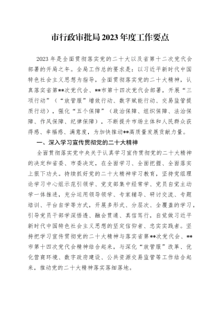 市行政审批局2023年度工作要点