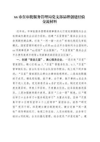 市在审批服务管理局党支部品牌创建经验交流材料