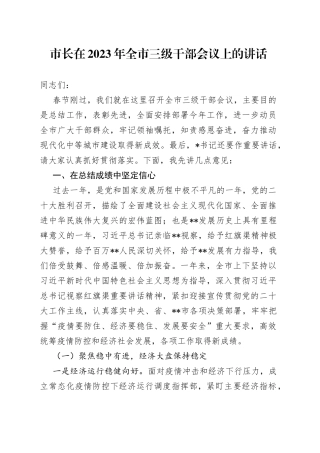 市长在2023年全市三级干部会议上的讲话