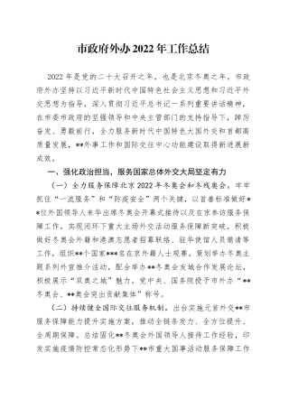 市政府外办2022年工作总结