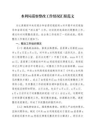 水利局巡察整改工作汇报总结报告