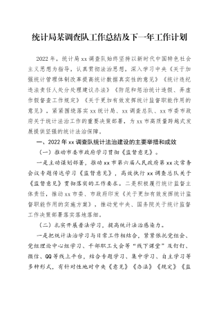 统计局某调查队工作总结及下一年工作计划