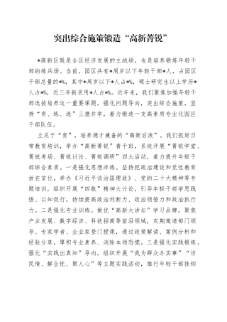 突出综合施策锻造“高新菁锐”