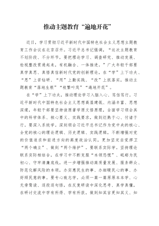 推动主题教育“遍地开花”