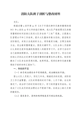 消防大队班子剖析与整改材料