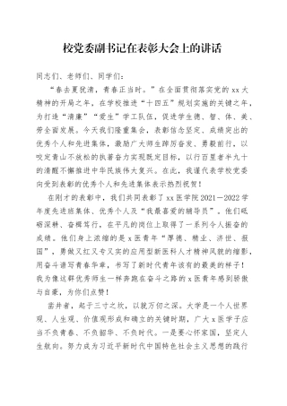 校党委副书记在表彰大会上的讲话