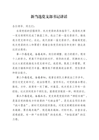 新当选党支部书记讲话（1）