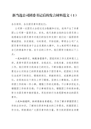 新当选公司团委书记后的发言材料2篇
