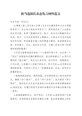 新当选镇长表态发言材料乡镇新任职就职