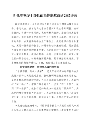新任职领导干部任前集体廉政谈话会议讲话廉洁