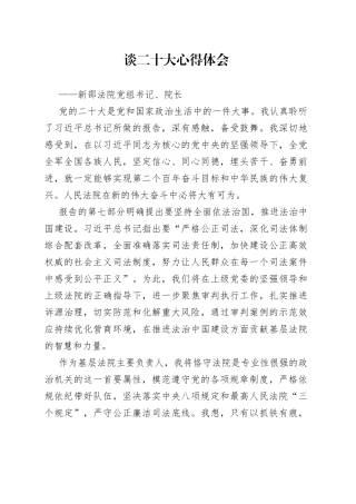 新邵法院党组书记、院长谈二十大心得体会