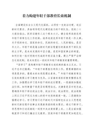 着力构建年轻干部教育长效机制