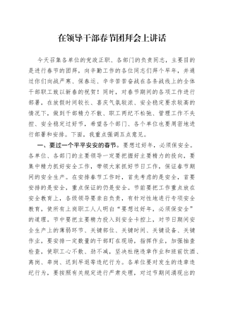 在领导干部春节团拜会上讲话
