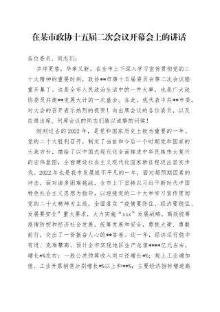 在某市政协十五届二次会议开幕会上的讲话