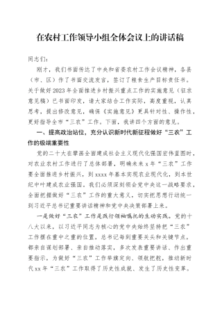 在农村工作领导小组全体会议上的讲话稿