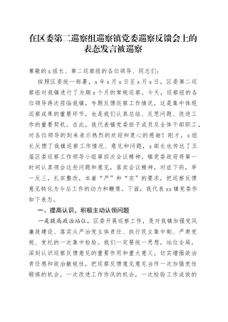 在区委第二巡察组巡察镇党委巡察反馈会上的表态发言被巡察