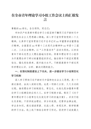 在全市青年理论学习小组工作会议上的汇报发言