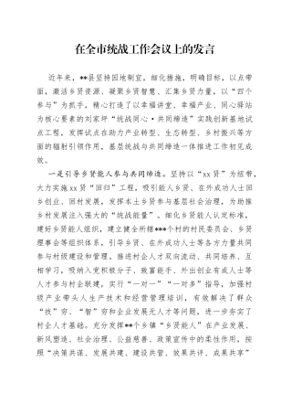 在全市统战工作会议上的发言