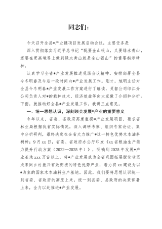 在全县产业链项目发展启动会议上的讲话