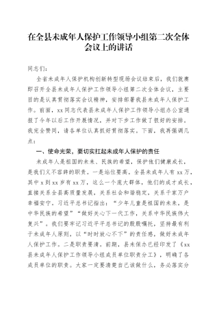 在全县未成年人保护工作领导小组第二次全体会议上的讲话