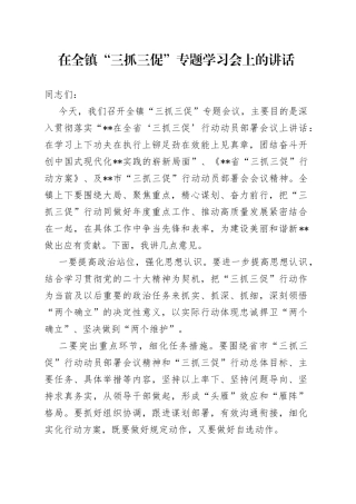 在全镇“三抓三促”专题学习会上的讲话