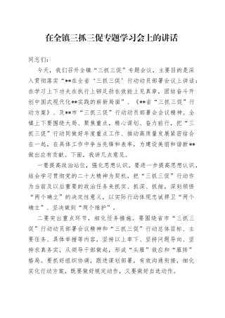 在全镇三抓三促专题学习会上的讲话