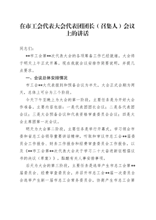 在市工会代表大会代表团团长（召集人）会议上的讲话