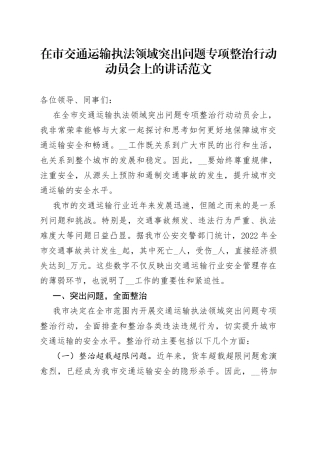 在市交通运输执法领域突出问题专项整治行动动员会上的讲话