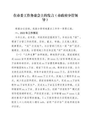 在市委工作务虚会上的发言市政府分管领导